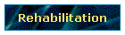 Rehabilitation